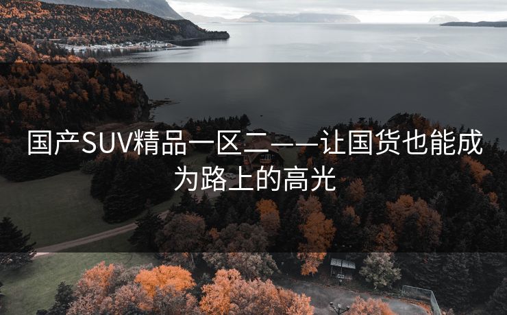 国产SUV精品一区二——让国货也能成为路上的高光